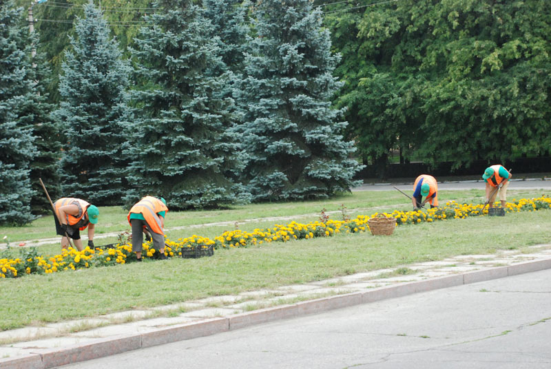 У лютому "Агромікс" отримав за озеленення Ужгорода 1,5 мільйона гривень