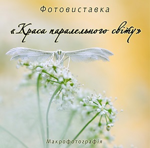 В Ужгороді покажуть "Красу паралельного світу"