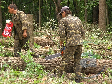 Мешканці Тереблі виступили проти необгрунтованої вирубки лісу