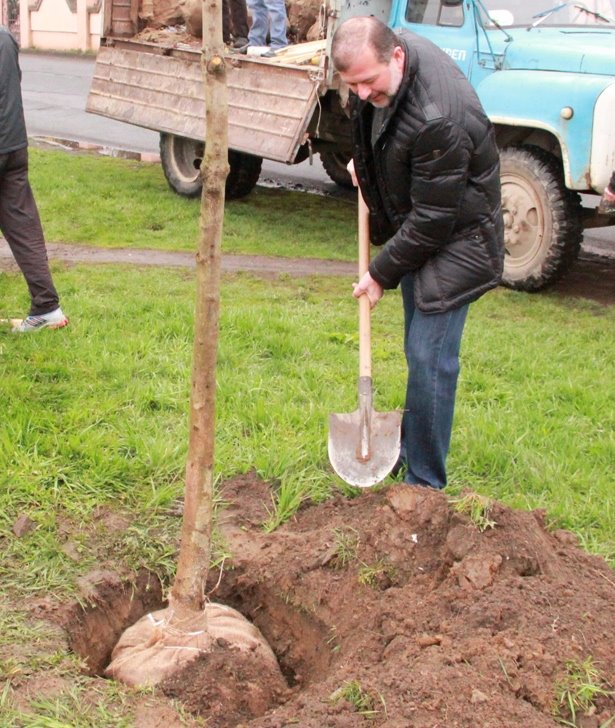 Для Балоги пріоритетними є не ток-шоу, а Фейсбук, каштани і баскетбол (ФОТО)