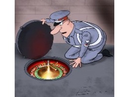 Мешканка Сюрте влаштувала зал гральних автоматів у літній кухні