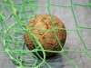 Гандбол. Ужгородські "Карпати" в Кривому Розі вдруге виграли у "Спарти"