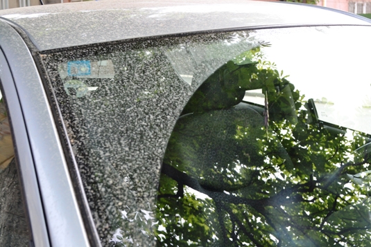 У Словаччині нічого не знають про «аварію на хімкомбінаті», а «оранжевий дощ» – не токсичний