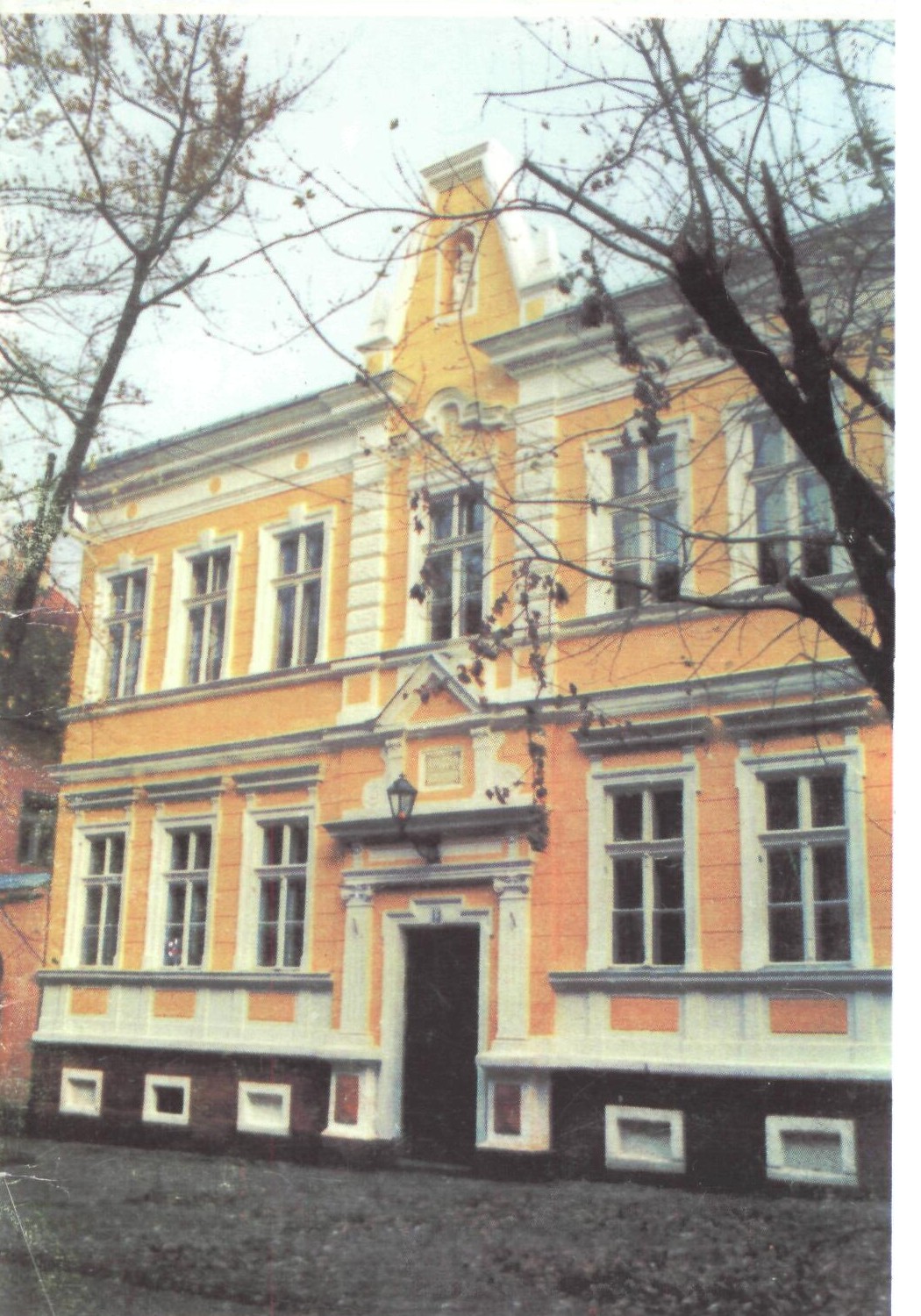 В Ужгороді продемонстрували добутки музичного академізму Закарпаття