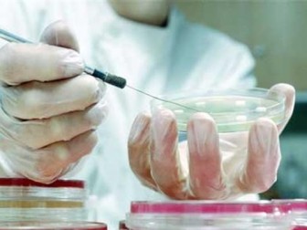 На Закарпатті найчастіше в Україні інфікуються гепатитом "В" через переливання крові – МОЗ