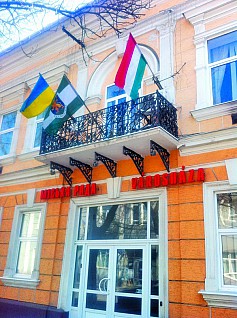 За півтори години в Берегові проголосували понад дві тисячі виборців?