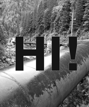 Громада Богдана проголосувала проти ГЕС і за недовіру сільському голові
