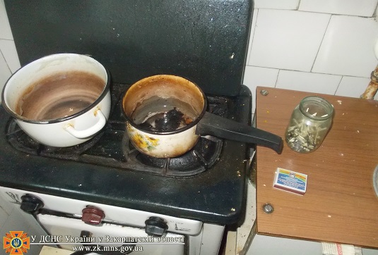 Рятувальники кажуть, що врятували ужгородку від задимлення їжі (ДОПОВНЕНО) (ФОТО)