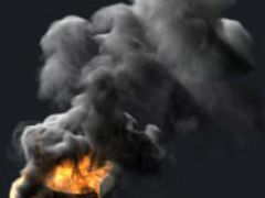 На сміттєзвалищі в Берегові вигоріло 250 "квадратів" сміття