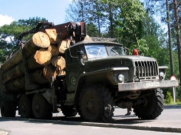 Жителі Лопухова обурені діями керівника Брустрянського держлісгоспу