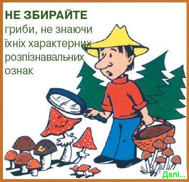 На Закарпатті зареєстровано 2 випадки отруєння грибами