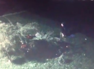 У Берегові камера зафіксувала жінку, що вночі крала висаджені рослини (ВІДЕО)
