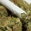 Закарпатець хотів продати у Львові 3 кілограми марихуани