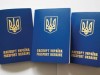 Закарпатські «міграційники» наполягають, що закордонний паспорт вартує 377 грн