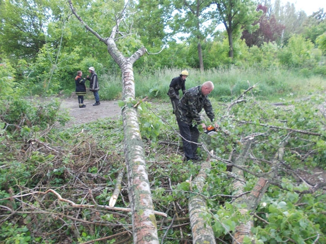 На Закарпатті ліквідовують наслідки буревію, рятувальники 29 разів виїжджали на місця падіння дерев (ФОТО, ВІДЕО)