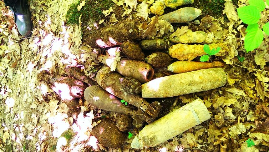 На Ужгородщині неподалік від туроб