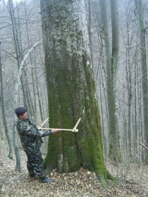 НПП «Синевир» планує розширити свою територію