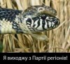 Тимошенківський "губернатор" Лунченко досі тримає на роботі закарпатських регіоналів (ПРІЗВИЩА)