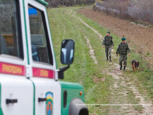 На Закарпатті затримали нелегалів, над якими знущалися "переправники через кордон"