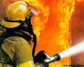 На Тячівщині пожежа у надвірній будівлі знищила свійських тварин