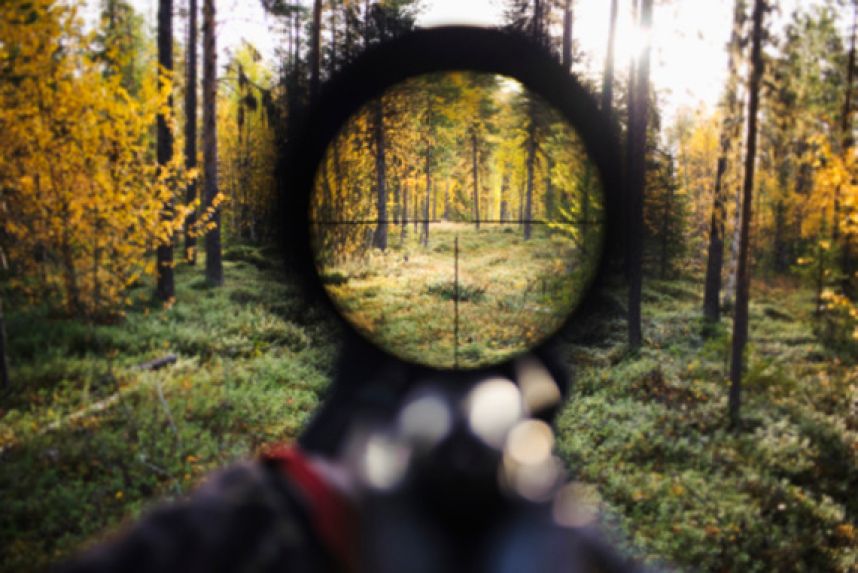 На Виноградівщині потенційний браконьєр відповідатиме за тілесні ушкодження та погрозу вбивством