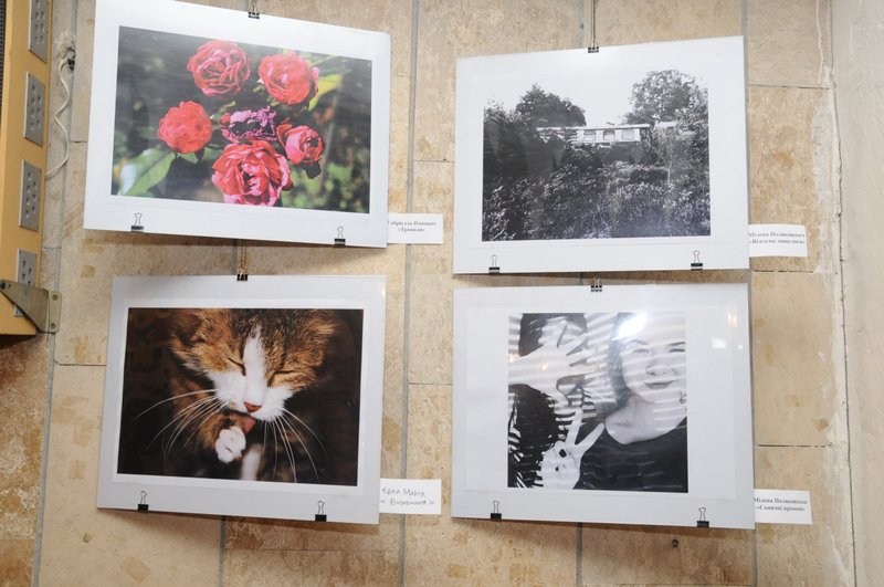 В Ужгороді на фотовиставці "Дебют" представлено три десятки робіт фотографів-початківців (ФОТО)
