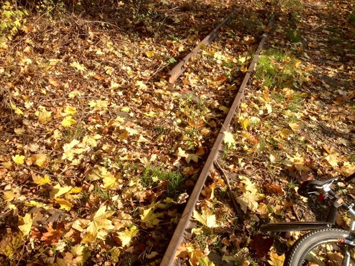 ФОТОФАКТ. В Ужгороді розкрадають малу залізницю