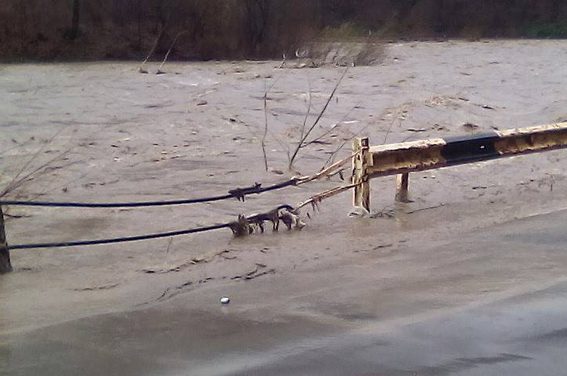 Найбільше від водної стихії потерпають Тячівщина та Рахівщина (ФОТО, ВІДЕО)