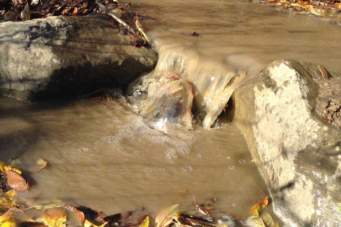 У Чопі через закаламучення Латориці й відсутність через це водопостачання організовано підвіз води