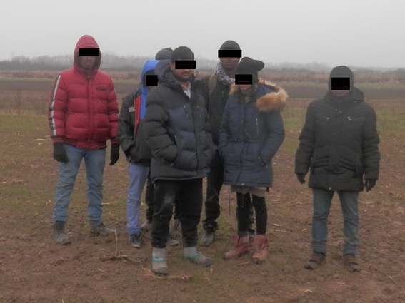 Нелегалів, яких затримали на Берегівщині, привезли у вантажному контейнері з Росії