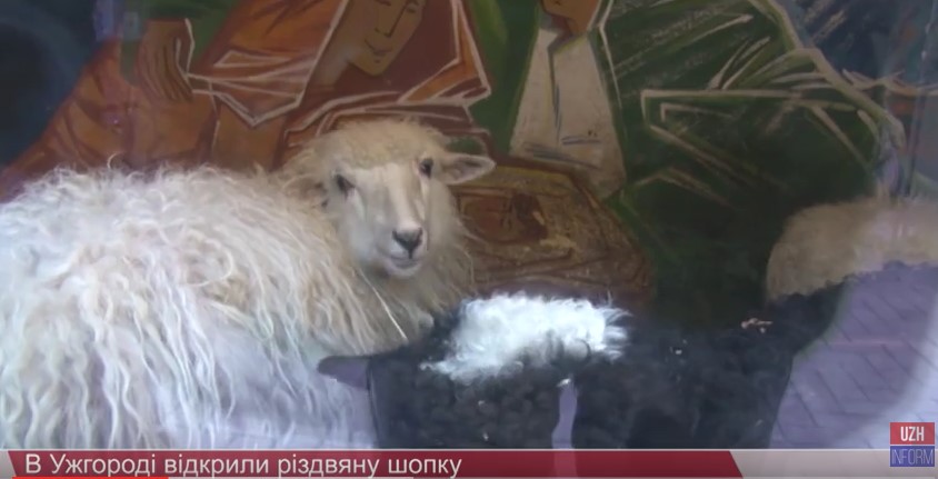 В Ужгороді відкрили різдвяну шопку (ВІДЕО)