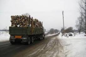 На Закапатті вилучили 30 кубометрів незаконно зрубаного лісу