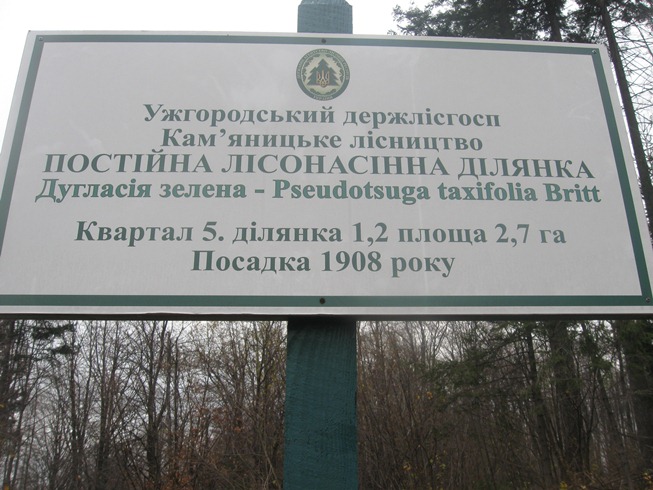 У Кам’яниці на Ужгородщині освятять капличку святого Губерта