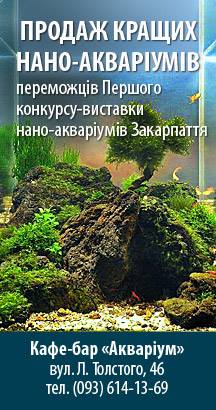 Продаж кращих акваріумів з Першого конкурсу-виставки нано-акваріумів Закарпаття