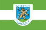 У Берегові обрали секретаря міськради та заступників: Токар, Бізіля, Ляшко