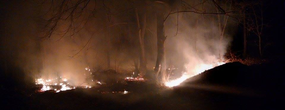 В ужгородському мікрорайоні Горяни горить ліс 