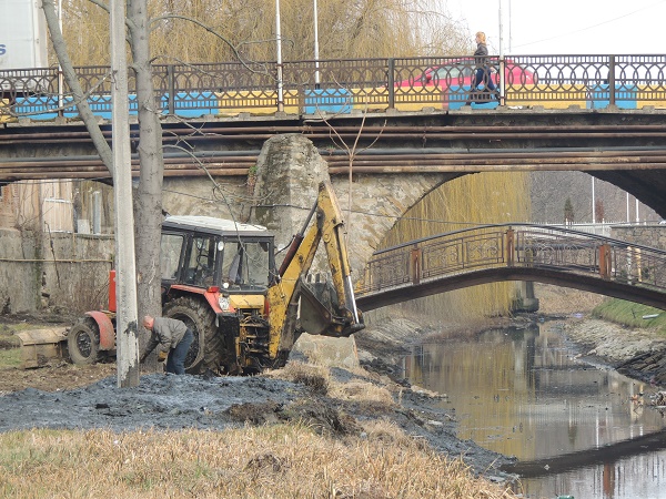 У Берегові взялися очищати Верке (ФОТО)