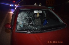 Підтверджень інформації, що словака під Михайлівцями смертельно травмував саме закарпатець, наразі немає (ФОТО)