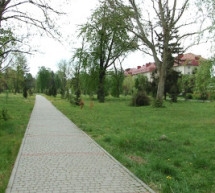 У мукачівському парку Перемоги з’являться нові розваги (ВІДЕО)