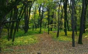 Парк "Підзамковий" в Ужгороді патрулюватимуть міліціонери зі службовими собаками