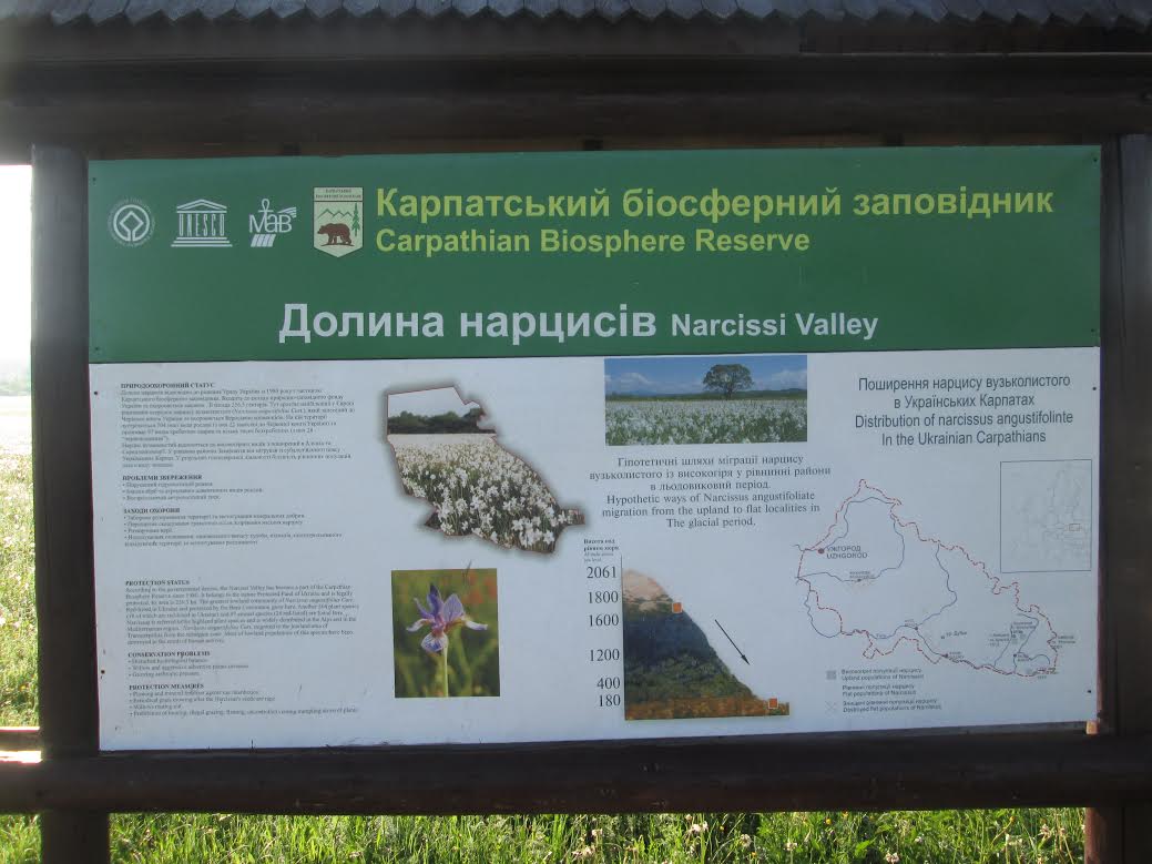 На Закарпатті обговорювали проблему збереження Долини нарцисів (ФОТО)