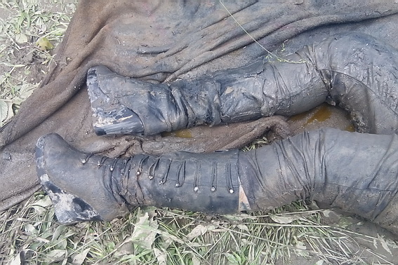 На Закарпатті встановлюють особу жінки, тіло якої знайшли у Латориці (ФОТО)