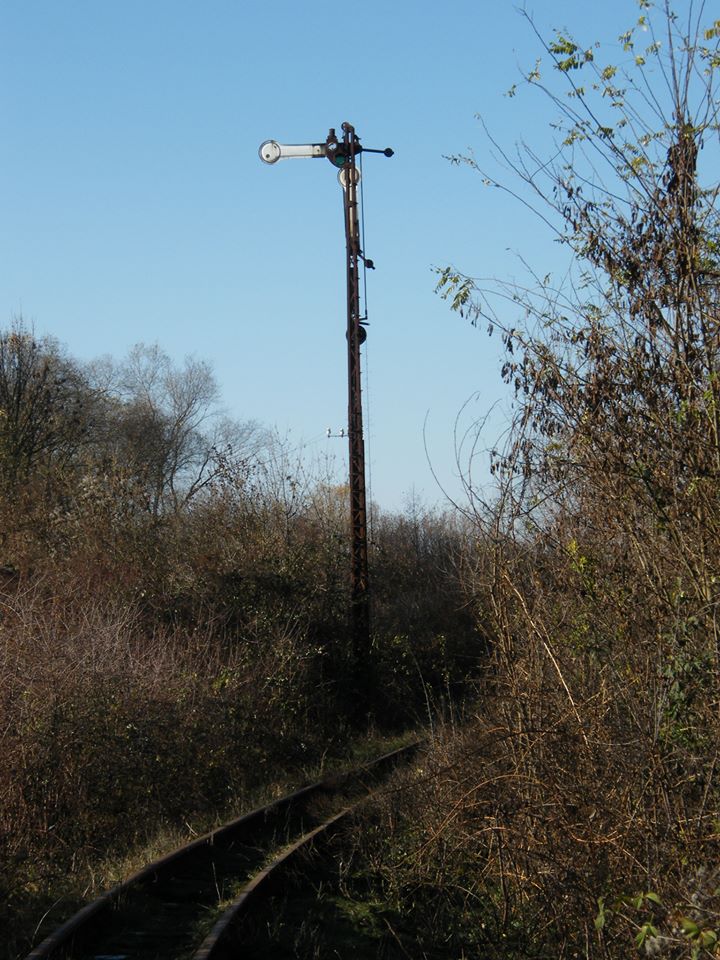 На Закарпатті відбудеться перший RailwayCamp