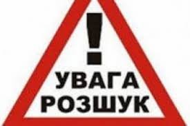 16-річного зниклого уродженця Кіровоградщини розшукали на Закарпатті, на відпочинку у друга