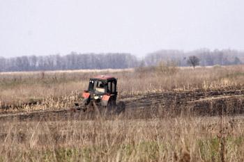 Балога законопроектом пропонує розпаювати землю радгоспів