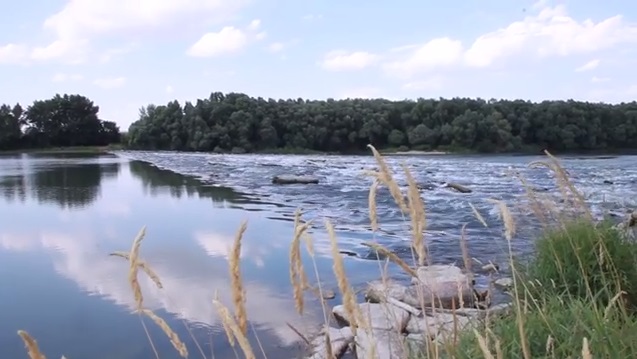 Щоб вирішити проблему "безводності" Батарської меліоративної системи, на Виноградівщині перегородять Тису (ВІДЕО)