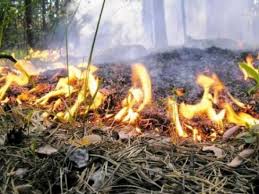 Закарпатців попереджають про високу та надзвичайну пожежну небезпеку