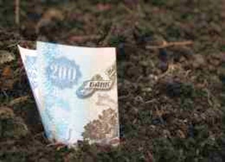 З початку року на Закарпатті за землю сплачено на 23 млн грн більше, ніж торік