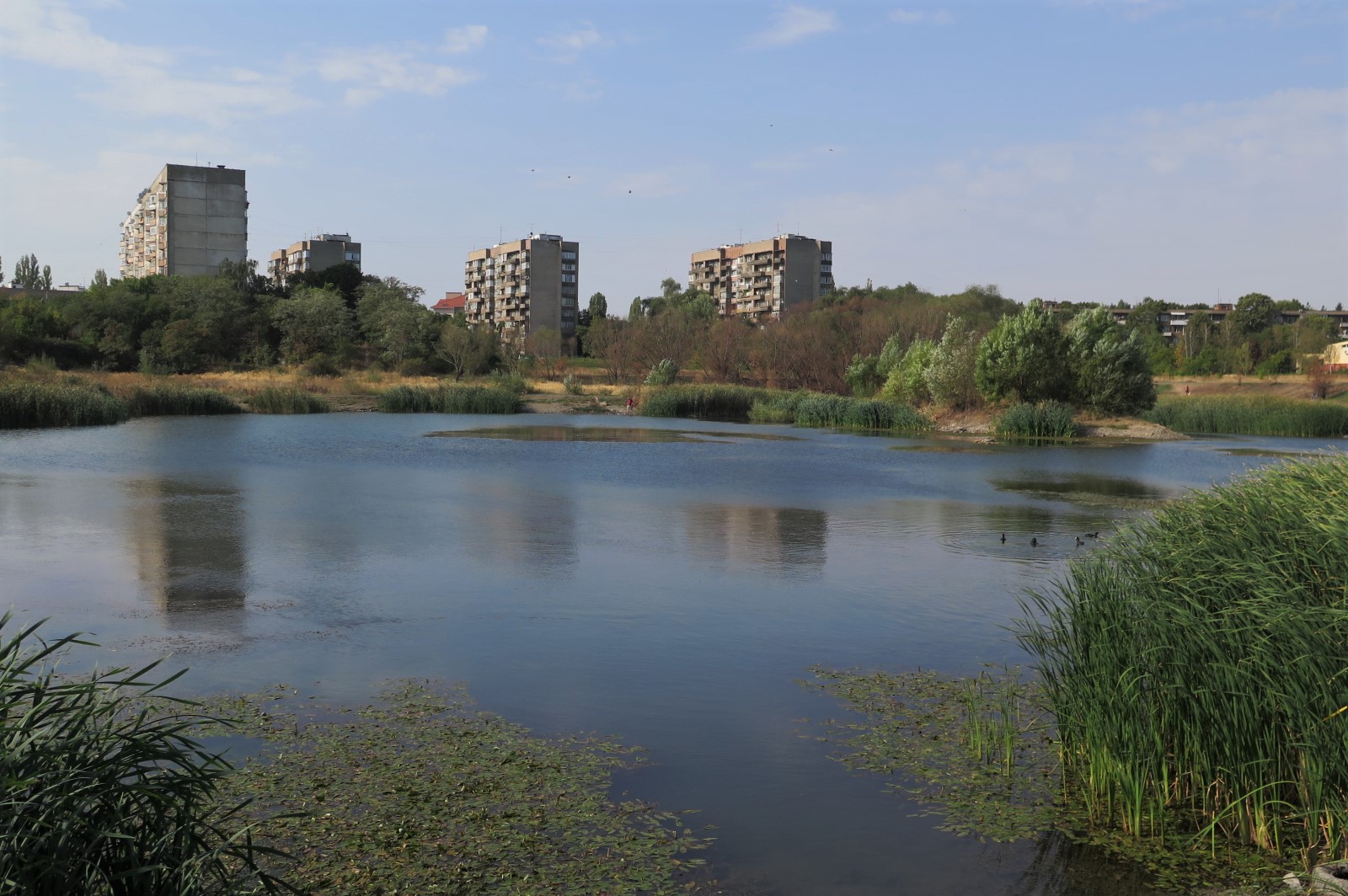 В Ужгороді від озера в центрі міста до мерії стартує марафон-естафета "Кірпіч"