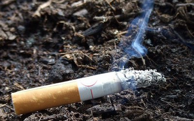На Ужгородщині через недопалок ледь не вигоріло ціле обійстя